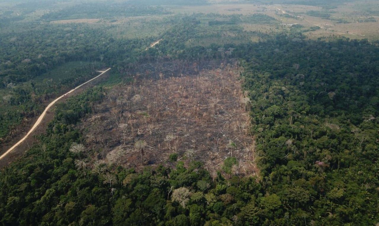 PARÁ REGISTRA REDUÇÃO DE 26% NA ÁREA SOB ALERTAS DE DESMATAMENTO NO ANO PRODES 2026